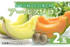 【2025年11月〜発送】アールス メロン (2玉) / メロン めろん メロン めろん メロン 青肉 果物 フルーツ / 南島原市 / JA島原雲仙東南部基幹センター [SAC004]