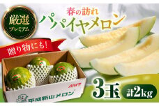 【2026年3月中旬〜発送】【平成新山メロンPREMIUM（とみちゃん厳選）】パパイヤメロン 3玉 / メロン めろん 青肉 糖度 果物 くだもの フルーツ ふるーつ 旬 高級 ギフト / 南島原市 / うえだメロン園 [SAD001]