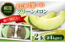 【2025年7月上旬〜発送】【平成新山メロンPREMIUM（とみちゃん厳選）】グリーンメロン 2玉 / メロン めろん 青肉 糖度 2玉 果物 くだもの フルーツ ふるーつ 旬 高級 ギフト / うえだメロン園 [SAD003]