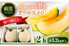 【2025年7月下旬〜発送】【平成新山メロンPREMIUM（とみちゃん厳選）】アールスメロン 2玉 / メロン めろん 青肉 糖度 2玉 果物 くだもの フルーツ ふるーつ 旬 高級 ギフト / 南島原市 / うえだメロン園 [SAD004]