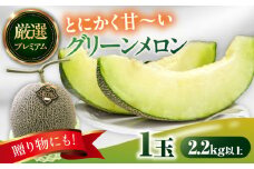 【2025年7月上旬〜発送】【平成新山メロンPREMIUM（とみちゃん厳選）】グリーンメロン 1玉 / メロン めろん 青肉 糖度 果物 くだもの フルーツ ふるーつ 旬 高級 ギフト / 南島原市 / うえだメロン園 [SAD006]