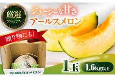 【2025年7月下旬〜発送】【平成新山メロンPREMIUM（とみちゃん厳選）】アールスメロン 1玉 / メロン めろん 青肉 糖度 果物 くだもの フルーツ ふるーつ 旬 高級 ギフト / 南島原市 / うえだメロン園 [SAD005]