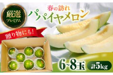 【2026年3月中旬〜発送】【平成新山メロンPREMIUM（とみちゃん厳選）】パパイヤメロン 6～8玉 約5Kg / メロン めろん 青肉 糖度 果物 くだもの フルーツ ふるーつ 旬 高級 ギフト / 南島原市 / うえだメロン園 [SAD007]