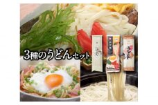 島原手延べうどん  3種詰合せセット（全13袋） / まぜ麺  平うどん 細うどん 手延べうどん うどん ウドン 饂飩  麺 めん 乾麺 ピリ辛 タレ付 / 南島原市 / ふるせ [SAQ016]