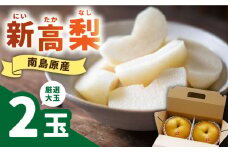 【9月中旬頃～出荷】【シャリッと食感がたまらない！】新高梨 2玉 / 梨 なし 南島原市 / ふるさと企画 [SBA007]