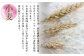 そうめん つゆ付 島原そうめん 手延べ 麺 素麺