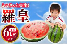 【2025年5月下旬〜発送】スイカ 大玉 羅皇 (ラオウ) 1玉 / スイカ すいか 西瓜 果物 フルーツ 羅皇 / 南島原市 / ふるさと企画 [SBA013]