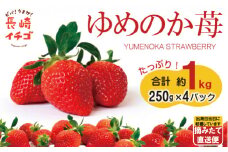 【長崎の苺はコレ！】 ゆめのか 1kg (250g×4P) / イチゴ いちご 果物 フルーツ / 南島原市 / ふるさと企画 [SBA015]