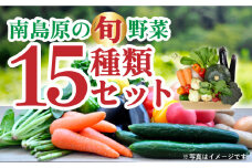 季節の野菜 15種類 セット 旬 産地直送 詰め合わせ / 野菜 やさい 新鮮 野菜セット / 南島原市 / ふるさと企画 [SBA023]