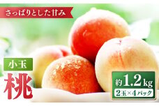 【2026年5月下旬～発送】桃 特別栽培 小玉 ハウスもも（Mサイズ：4パック） / 桃 もも モモ フルーツ 果物 旬 / 南島原市 / ふくはちファーム/福島農園 [SBS007]