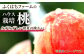 桃