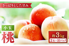 【2026年5月下旬～発送】桃 特別栽培 小玉 ハウスもも（Mサイズ：10パック） / 桃 もも モモ フルーツ 果物 旬 / 南島原市 / ふくはちファーム/福島農園 [SBS008]