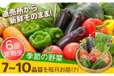 【6回定期便】直売所より発送！季節の野菜セット 7～10品目 / 野菜定期便 やさい定期便 野菜 やさい 旬 詰め合わせ / 南島原市 / ながさき南部生産組合 [SBW004]