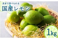 【2024年10月〜発送】国産レモン 1kg  / レモン れもん 檸檬 国産 ユーレカ 果物 フルーツ 柑橘  / 南島原市 / 長崎県農産品流通合同会社 [SCB016]