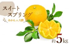 【2025年1月〜発送】スイートスプリング 5kg / みかん ミカン 蜜柑 柑橘 果物 フルーツ / 南島原市 / 長崎県農産品流通合同会社 [SCB027]