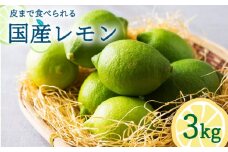 【2024年10月〜発送】国産レモン 3kg  / レモン れもん 檸檬 国産 ユーレカ 果物 フルーツ 柑橘 / 南島原市 / 長崎県農産品流通合同会社 [SCB035]