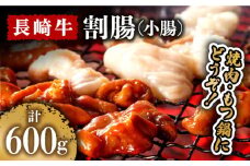 長崎牛 割腸（小腸） 焼肉・ホルモン鍋 用 600g  / 焼肉 もつ鍋 モツ もつ 小腸 ホルモン 牛モツ / 南島原市 / はなぶさ [SCN060]