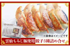 【雲仙もみじ豚使用】餃子 3種 詰め合せ  / プレーン カレー バジル ぎょうざ おかず 弁当 / 南島原市 / はなぶさ [SCN067]