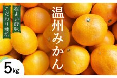 【2025年12月中旬～発送】温州みかん 5kg（2S～2L込）  / みかん ミカン みかん ミカン ミカン 蜜柑 柑橘 フルーツ 果物 / 南島原市 / 日野江 [SCY001]
