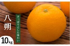 【2026年1月～発送】八朔（10Kg）（L～2L込） / はっさく ハッサク はっさく ハッサク ハッサク 八朔 みかん ミカン 蜜柑 柑橘 フルーツ 果物 / 南島原市 / 日野江 [SCY005]