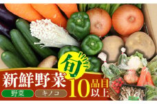 新鮮野菜・キノコ 10品目以上詰め合わせ / 野菜 やさい きのこ キノコ 詰め合わせ セット / 吉岡青果 / 南島原市 [SCZ004]