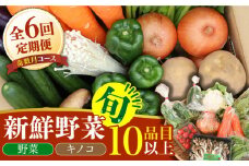 【6回定期便 奇数月コース】野菜定期便 きのこをセット 10品目以上 「6回（奇数月）」 / 野菜 春野菜 夏野菜 秋野菜 冬野菜 きのこ 旬 定期便 / 南島原市 / 吉岡青果 [SCZ005] 