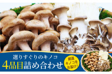  南島原産厳選きのこセット 4品目詰め合わせ / 詰め合わせ きのこ キノコ 茸 きのこセット / 南島原市 / 吉岡青果 [SCZ013]