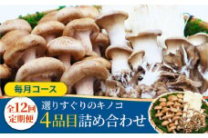 【12回定期便】きのこ定期便 厳選セット 4品目「12回（毎月）」お届け  特選キノコ 詰め合わせ きのこ きのこセット / 南島原市 / 吉岡青果 [SCZ015]