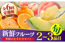 【6回定期便 隔月】フルーツ定期便 旬の果物 詰め合わせ 季節の果物をお任せで2～3品目お届け（2～3品目×6回）/ 定期便 フルーツ 果物 春フルーツ 夏フルーツ 秋フルーツ 冬フルーツ / 南島原市 / 吉岡青果 [SCZ016]