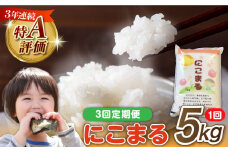 【3回定期便】 長崎県産 精米 にこまる 5kg 総計 15kg / 南島原市 / 大松屋商店 [SDR002]