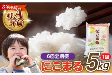 【6回定期便】 長崎県産 精米 にこまる 5kg 総計 30kg / 南島原市 / 大松屋商店 [SDR003]