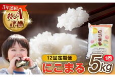 【12回定期便】 長崎県産 精米 にこまる 5kg 総計 60kg / 米 こめ コメ お米 ご飯 白米 精米 食品 / 南島原市 / 大松屋商店 [SDR004]