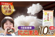 【 6回定期便 】 長崎県産 精米 にこまる 10kg 総計 60kg / 南島原市 / 大松屋商店 [SDR007]