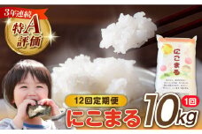 【 12回定期便 】 長崎県産 精米 にこまる 10kg 総計 120kg / 南島原市 / 大松屋商店 [SDR008]