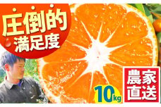 みかん【2025年10月下旬〜発送】温州みかん 10kg / みかん ミカン 蜜柑 フルーツ 果物 くだもの 柑橘 旬 果実 甘味 酸味 甘い mikan 産地直送 ミカン 農家直送 数量限定 国産 先行予約 ご家庭用 ミカン ご当地 お返し 贈り物 人気 贈答用 家庭用 土産 手土産 みかん / 南島原市 / 蜜柑屋まつお [SCQ002]