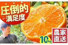 みかん【2025年10月下旬〜発送】温州みかん 10kg / みかん ミカン 蜜柑 フルーツ 果物 くだもの 柑橘 旬 果実 甘味 酸味 甘い mikan 産地直送 ミカン 農家直送 数量限定 国産 先行予約 ご家庭用 ミカン ご当地 お返し 贈り物 人気 贈答用 家庭用 土産 手土産 みかん / 南島原市 / 蜜柑屋まつお [SCQ002]