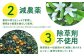みかん ミカン 蜜柑 フルーツ 果物 みかん くだもの 柑橘 旬 果実 甘味 酸味 産地直送 みかん 農家直送 数量限定 国産