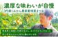 みかん ミカン 蜜柑 フルーツ 果物 みかん くだもの 柑橘 旬 果実 甘味 酸味 産地直送 みかん 農家直送 数量限定 国産