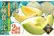 【2025年4月〜発送】【贅沢食べ比べ！2回定期便】プリンスメロン・タカミメロン（2品種各1回） / メロン セット 南島原市 / 南島原果物屋 [SCV001]