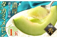 【2026年5月～発送】【さわやかな味！ 】タカミメロン 1玉 （約1kg）  / メロン 南島原市 / 南島原果物屋 [SCV005]
