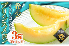 【2026年4月下旬～発送】【根強い人気！】 プリンスメロン 3箱 セット（1箱 7～13玉）  / メロン 南島原市 / 南島原果物屋 [SCV007]