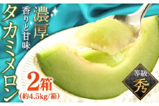 【2026年5月～発送】【さわやかな味！ 】タカミメロン 2箱セット（1箱 3～6玉） / メロン 南島原市 / 南島原果物屋 [SCV009]