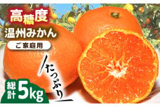 【2025年11月下旬〜発送】【高糖度】 温州みかん 約5kg / みかん ミカン 蜜柑 長崎県産みかん 糖度 果物 くだもの フルーツ ふるーつ 旬 家庭用 5kg / 南島原市 / 南島原果物屋 [SCV011]
