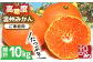 みかん