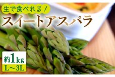 【生で食べられる】スイート アスパラ L〜3L 約 1kg / アスパラ あすぱら アスパラガス 3L 増田農園 アスパラガス 甘い / 南島原市 / 贅沢宝庫 [SDZ015]