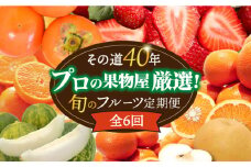 【6回定期便 奇数月コース】＜2026年1月～初回発送＞フルーツ定期便 旬のフルーツをセット/ いちご メロン ハウスみかん 梨 柿 など  / 定期便 旬 フルーツ 果物 春フルーツ 夏フルーツ 秋フルーツ 冬フルーツ / 南島原市 / 贅沢宝庫 [SDZ021]