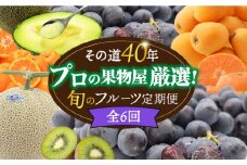 【6回定期便 偶数月コース】＜2026年2月～初回発送＞フルーツ定期便 旬のフルーツをセット / ハウスびわ メロン ぶどう 巨峰 みかん など / 定期便 旬 フルーツ 果物 春フルーツ 夏フルーツ 秋フルーツ 冬フルーツ / 南島原市 / 贅沢宝庫 [SDZ022]