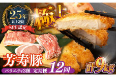 【12回定期便】SPF豚 やっちゃおいしか芳寿豚バラエティセット 計750g / 豚肉 定期便 ほうじゅとん SPF豚 spfポーク 小分け バラ しゃぶしゃぶ / 南島原市 / 芳寿牧場 [SEI013]