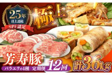 【12回定期便】SPF豚 やっちゃおいしか芳寿豚バラエティセット 計3000g / 豚肉 定期便 ほうじゅとん SPF豚 spfポーク 小分け バラ しゃぶしゃぶ / 南島原市 / 芳寿牧場 [SEI022]