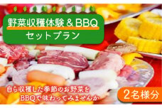 【体験チケット】野菜収穫体験とBBQ（2名様分） / 野菜 収穫 体験プラン 体験チケット バーベキュー BBQ / 南島原市 / ミナサポ [SCW016]